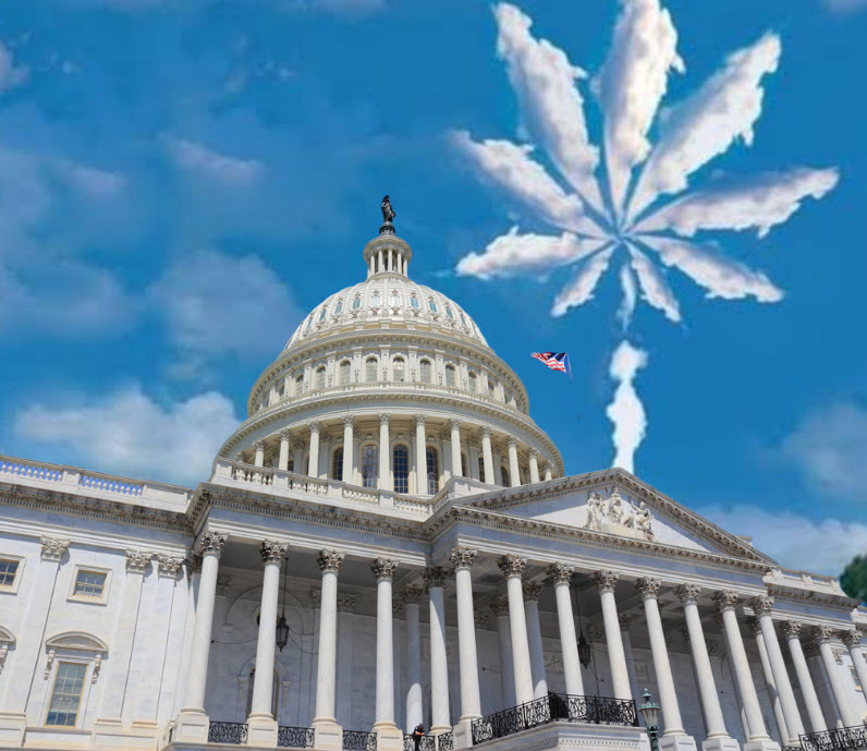 $24 Billion in Tax Revenue and Growing – Why Congress May Bypass the DEA and Legalize Cannabis Directly