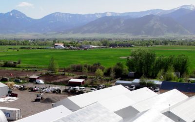 The Montana Green Pages: The Best Dispensaries in Montana