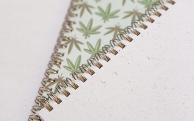 The Best Uses for the Hemp Plant