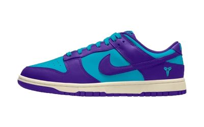 The Nike Dunk Low to Receive the “Protro” Treatment Next Year