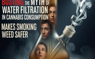 Busting the Myth That Water Filtration in Cannabis Consumption Makes Smoking Weed Safer