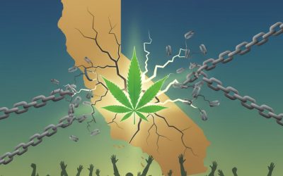 How California Finally Learned What Every Cannabis Advocate Has Been Screaming about for Years