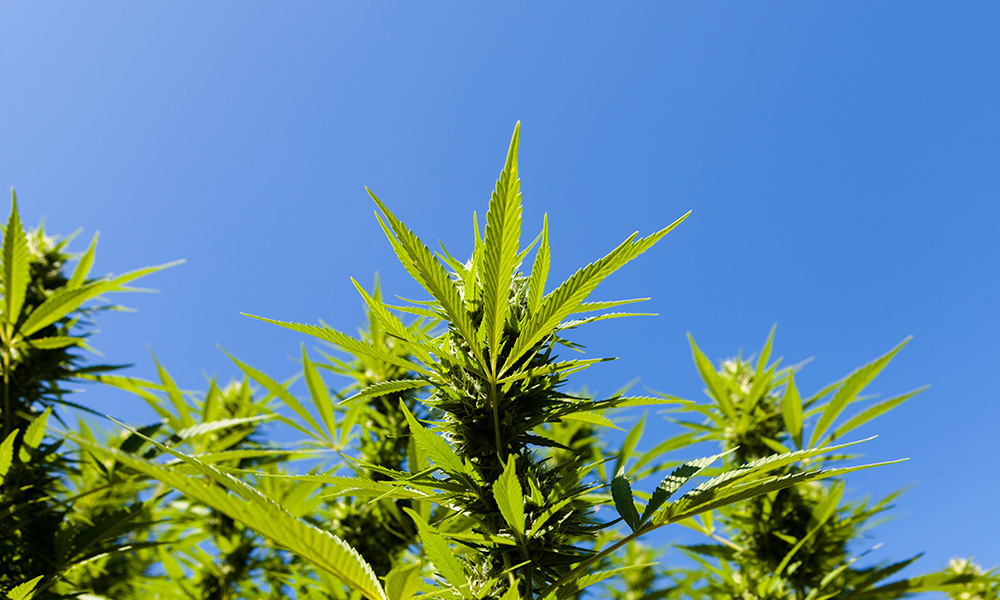 When, Why & How to Take a Tolerance Break