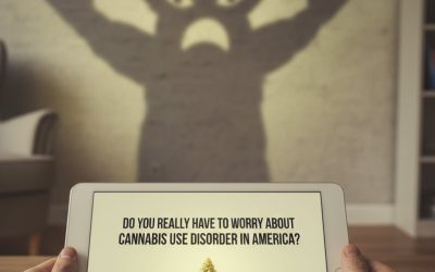 Do You Really Have to Worry about Cannabis Use Disorder in America?