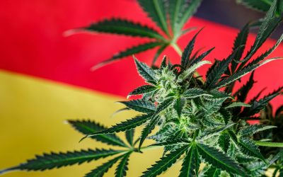 Data Demonstrates That German Cannabis Legalization Is Working