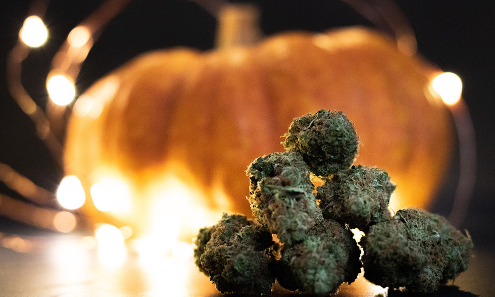 The 8 Best Weed Strains for a Spooky Halloween