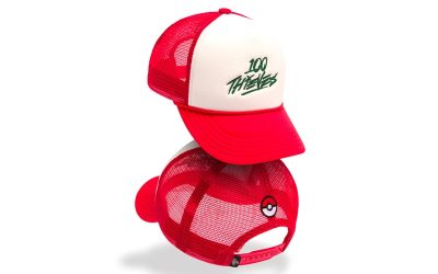 Pokémon and 100 Thieves Reunite For Expansive Collection