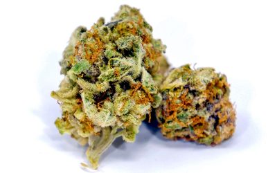 Sunset Blue: The Sedative Strain That Will Help You Unwind
