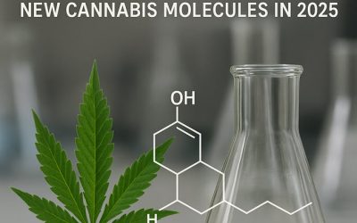 Meet Cannabizetol: Why We’re Still Discovering New Cannabis Molecules in 2025