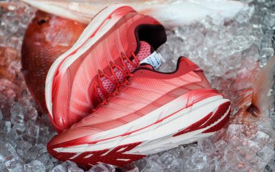 Sneaker Politics and adidas Reunite for the Adistar HRMY “Red Snapper”
