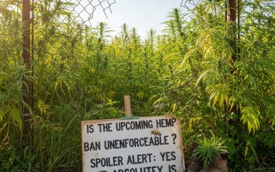 Is the Upcoming Hemp Ban Unenforceable? Spoiler Alert: Yes, It Absolutely Is