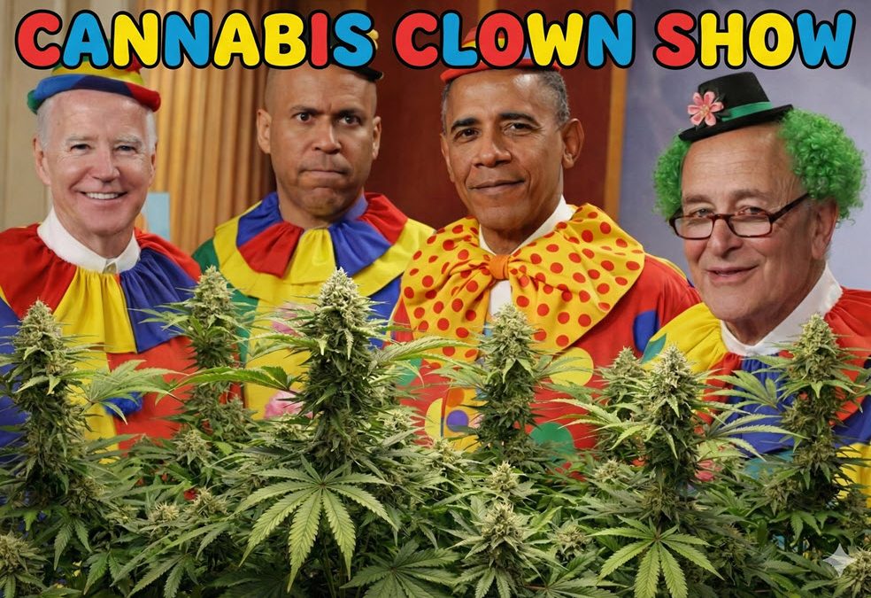 Think Democrats Can’t Look Anymore Incompetent Right Now?—Trump Says ‘Hold My Beer’ and Reschedules Cannabis