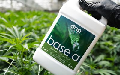 Streamline Commercial Cannabis Cultivation With GrowGeneration