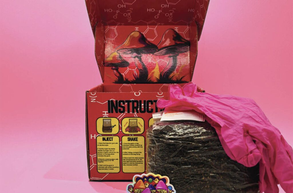 The Psychedelic Renaissance Begins (Again)