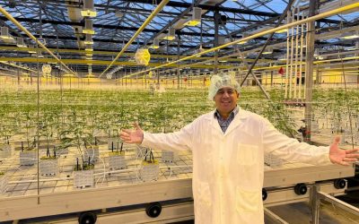 Q&A: Sensi Brands CEO Tony Giorgi on Leadership, Culture and Global Expansion