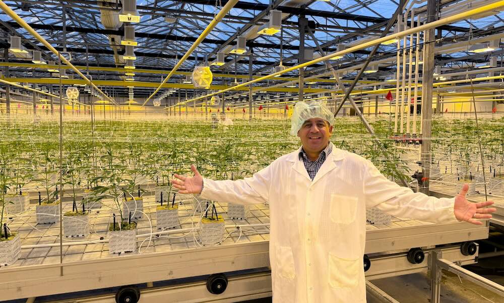 Q&A: Sensi Brands CEO Tony Giorgi on Leadership, Culture and Global Expansion