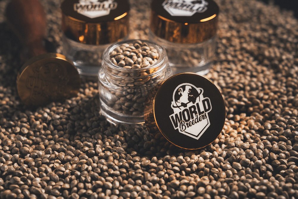 From Spain, The Planet Awaits