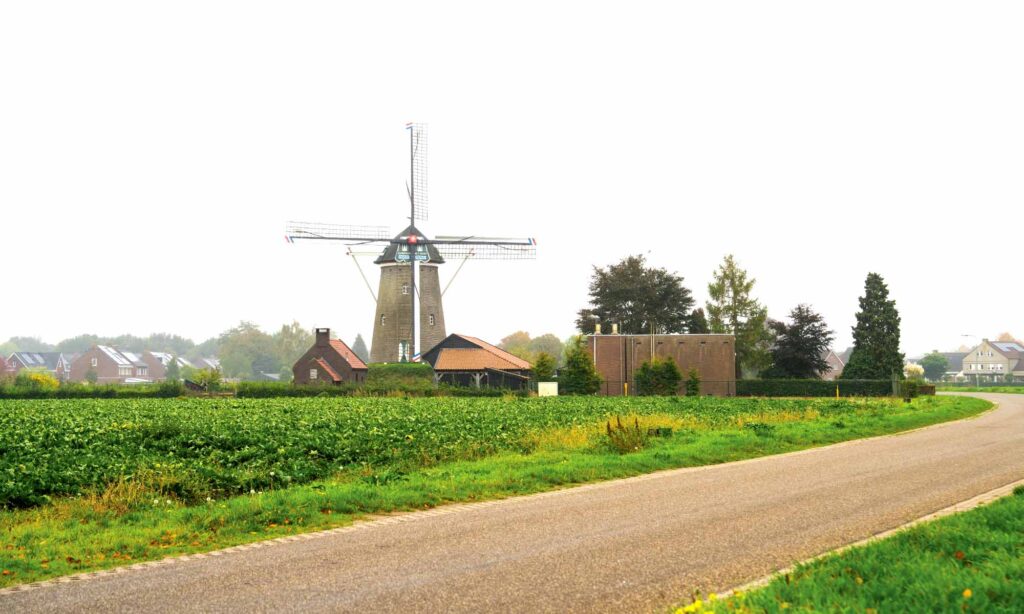 The World’s First AI-Driven Cannabis Seed-Sorting System Is Here