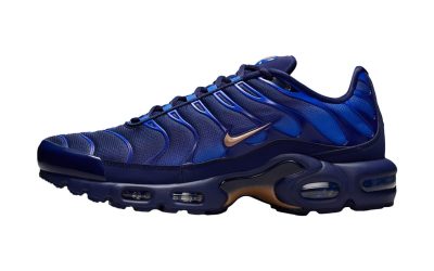 Nike Preps for the World Cup With the Air Max Plus “French Football Federation”
