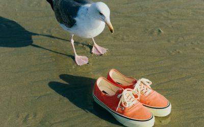 BEAMS BOY and Vans Reunite for an 80s-Inspired Authentic in “Vintage Orange”