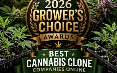 2026 Grower’s Choice: Best Cannabis Clone Sites Online