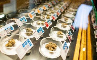 Cannabis 101: Dispensaries