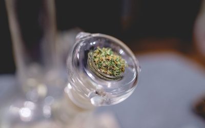 5 Ways to Eliminate Cannabis Odor With Everclear Grain Alcohol