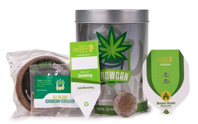 Father’s Day Guide for Growing Weed at Home