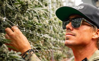 The People Behind the Plants: Meet GrowGeneration’s Commercial Cultivation Technical Team
