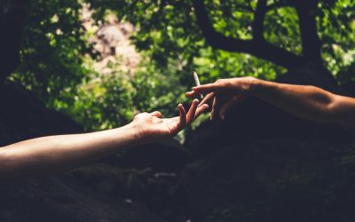 Travel Better With Cannabis: Adventure Essentials From King Palm