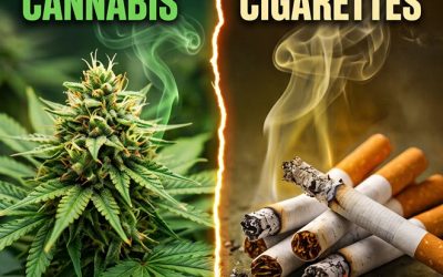 Cannabis vs. Cigarettes: Which One Actually Belongs in Schedule I?